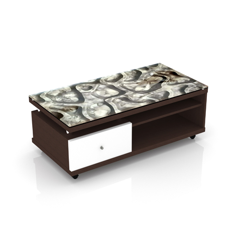 SCT 311 Coffee Table